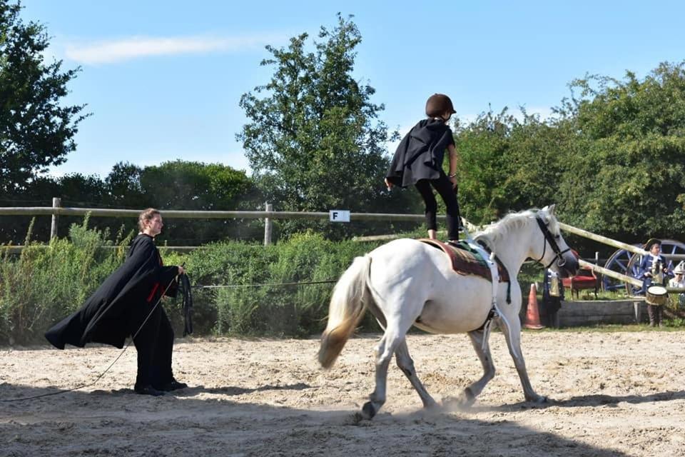 Ecuries Leseigneur - Camping Insolites Bolleville  Exterior foto